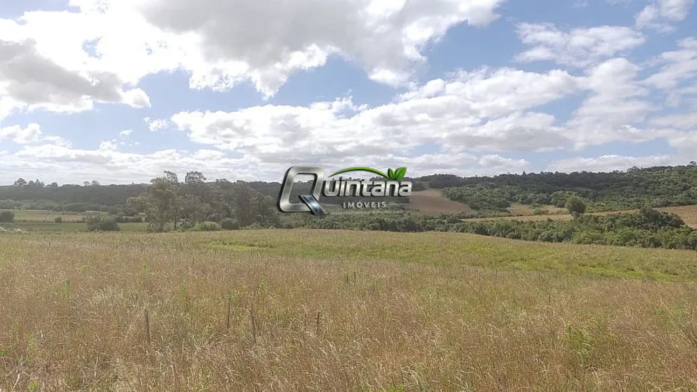 Sítio, 24 hectares - Foto 4