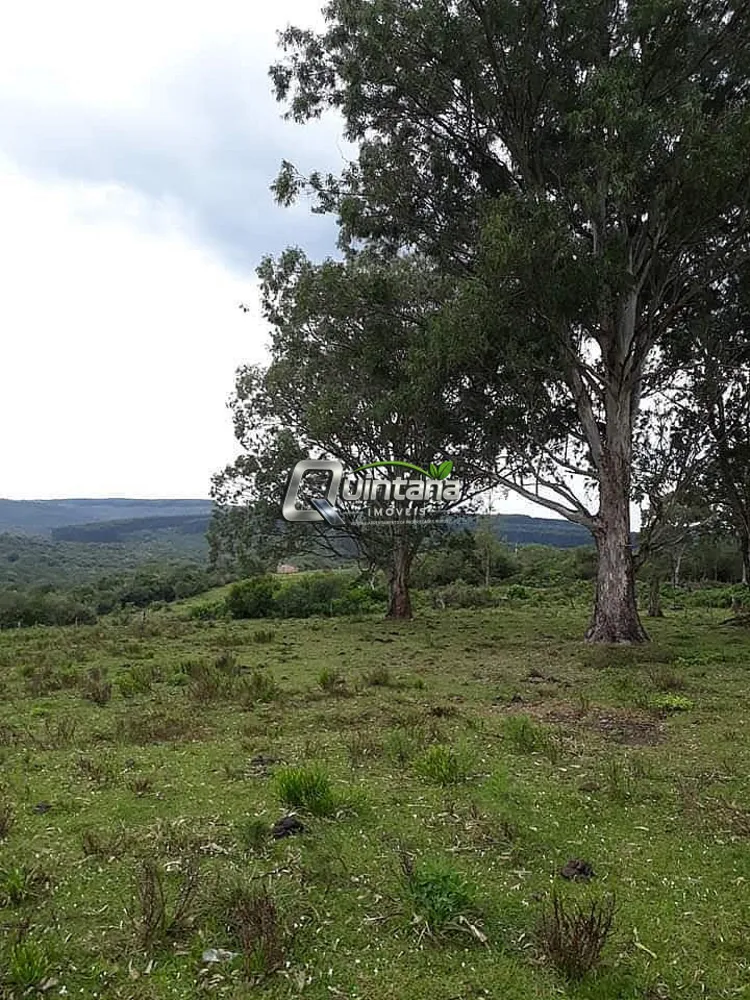 Fazenda, 50 hectares - Foto 4