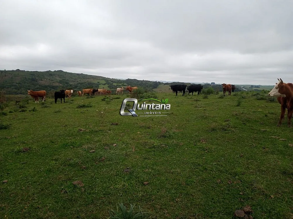 Fazenda, 50 hectares - Foto 3