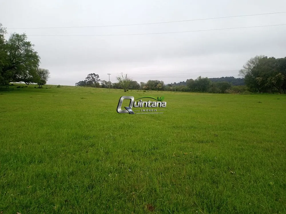 Fazenda, 50 hectares - Foto 1