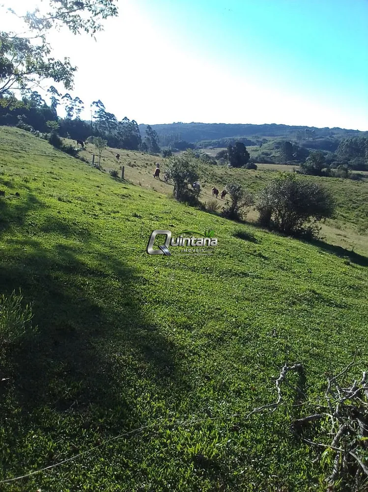 Fazenda, 300 hectares - Foto 2