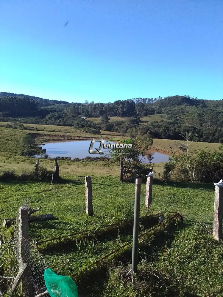 Fazenda, 300 hectares - Foto 1
