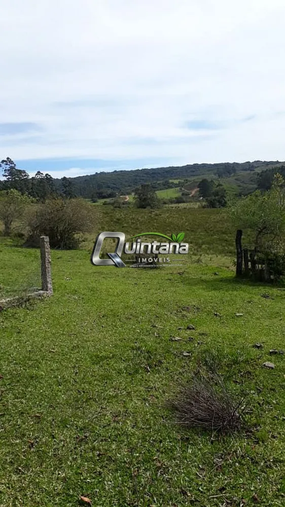 Fazenda, 300 hectares - Foto 4