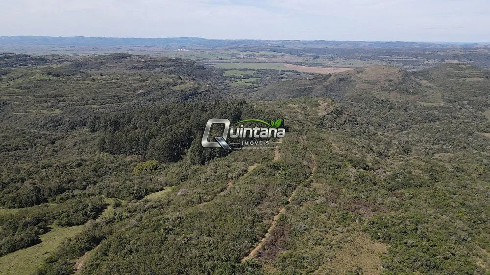 Fazenda, 210 hectares - Foto 6