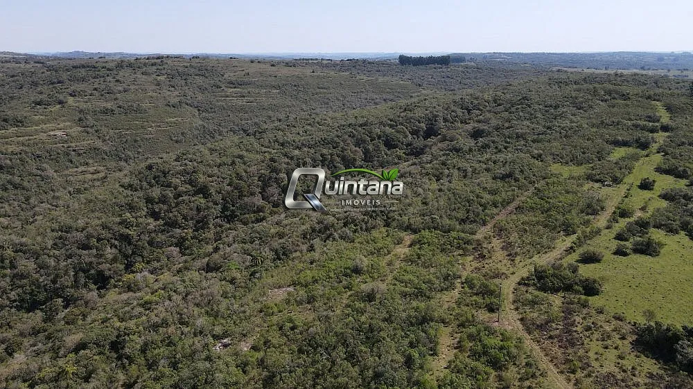 Fazenda, 210 hectares - Foto 10