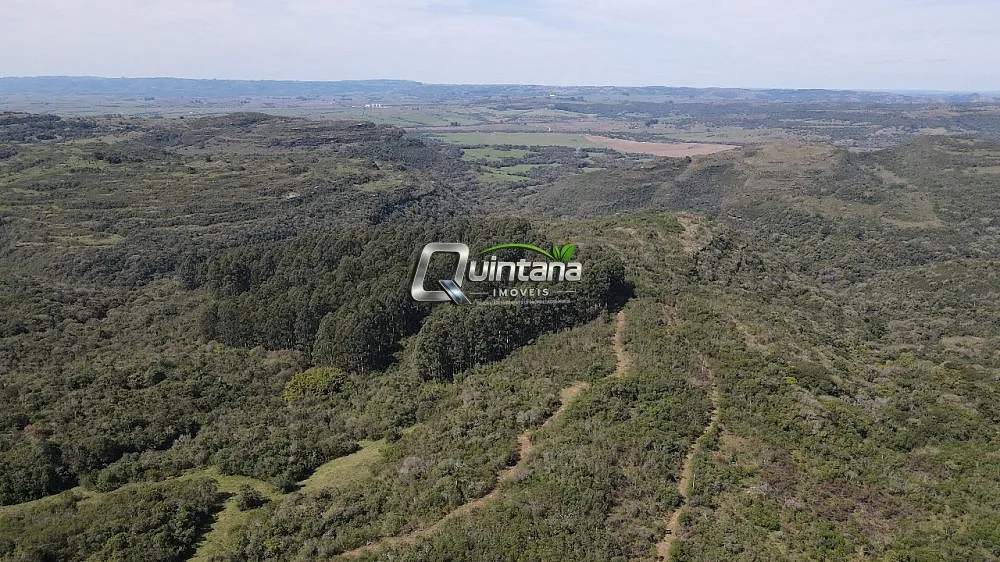 Fazenda, 210 hectares - Foto 8