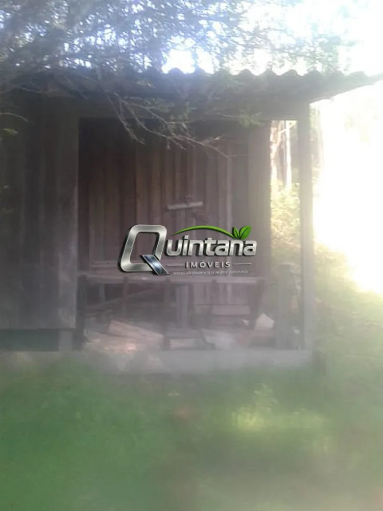 Fazenda, 210 hectares - Foto 12