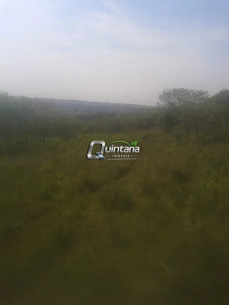 Fazenda, 210 hectares - Foto 14