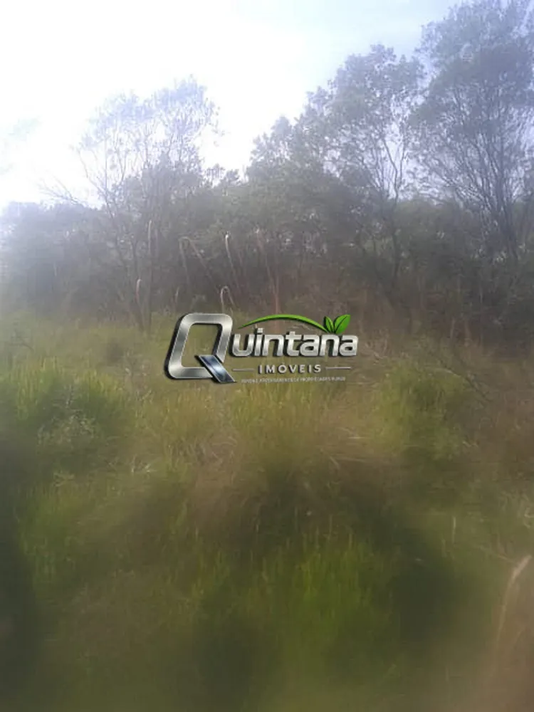 Fazenda, 210 hectares - Foto 13