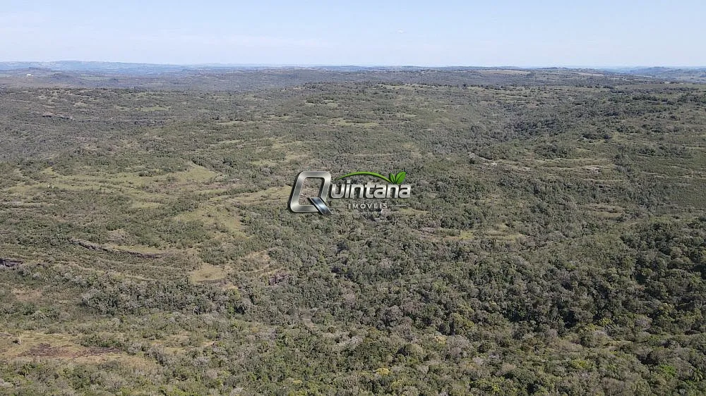 Fazenda, 210 hectares - Foto 7