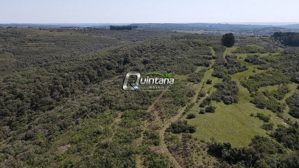 Fazenda, 210 hectares - Foto 1
