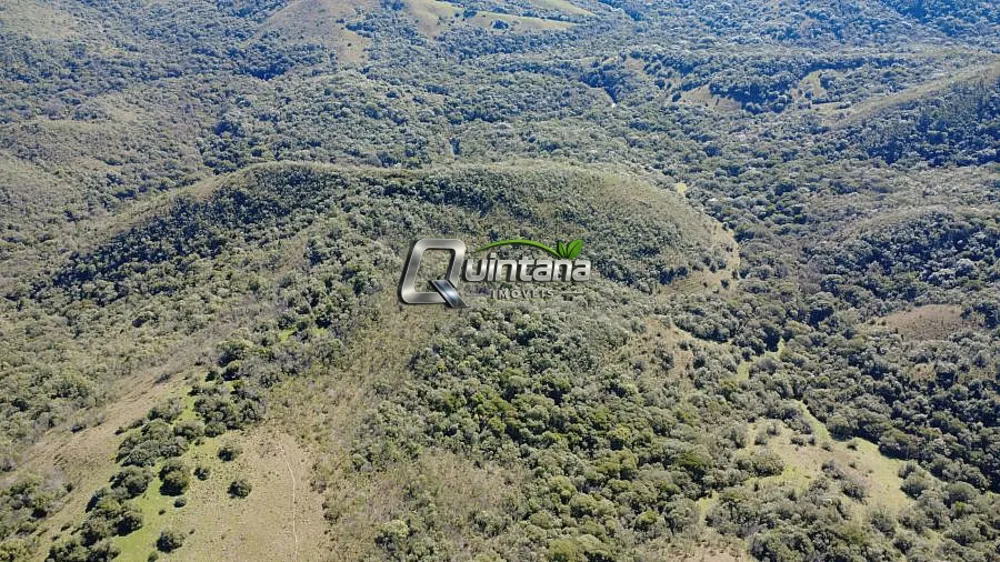 Fazenda, 100 hectares - Foto 6