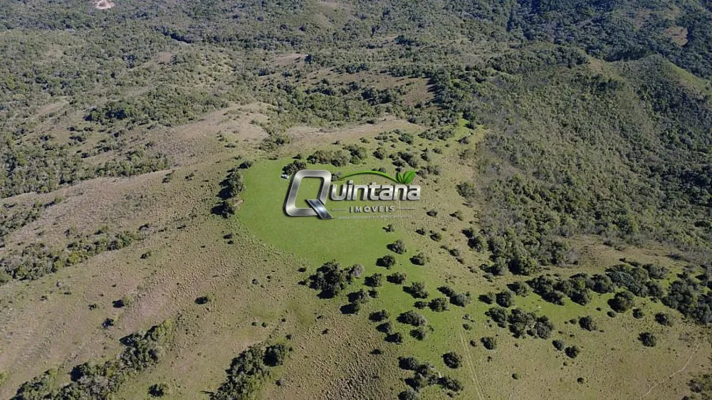 Fazenda, 100 hectares - Foto 4