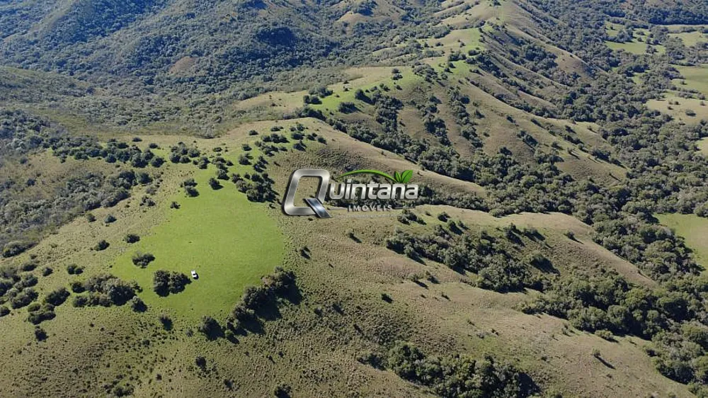 Fazenda, 100 hectares - Foto 3
