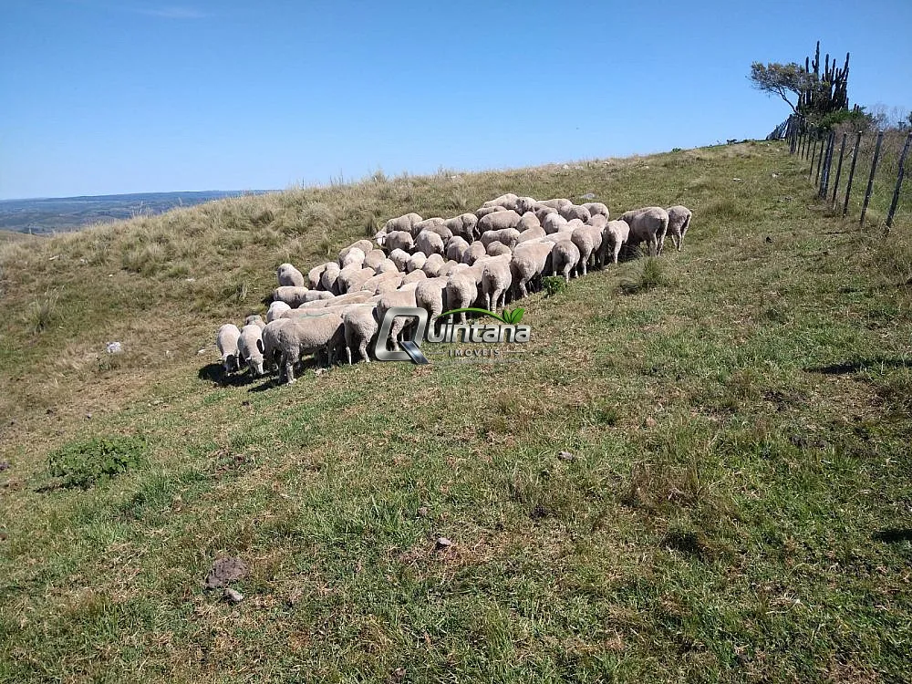 Fazenda, 155 hectares - Foto 15