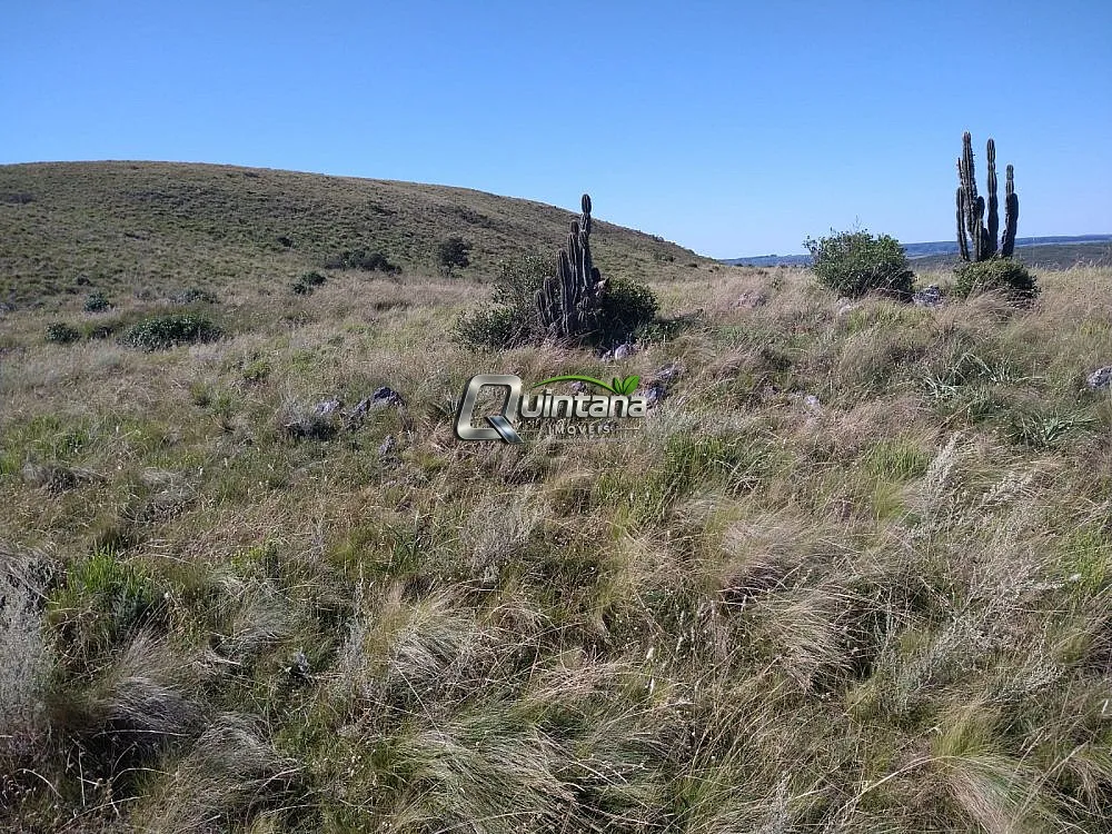 Fazenda, 155 hectares - Foto 14