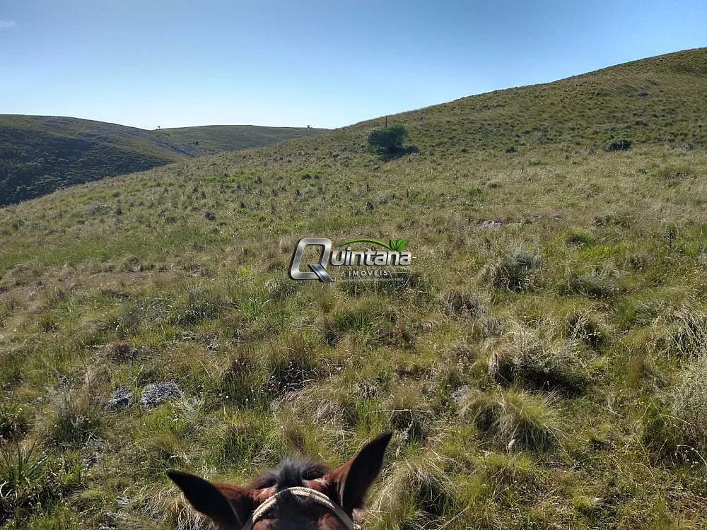 Fazenda, 155 hectares - Foto 13