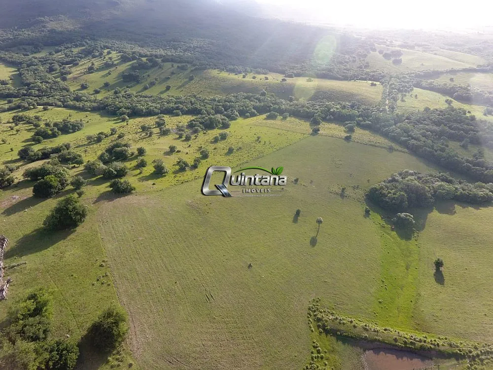 Fazenda, 155 hectares - Foto 7