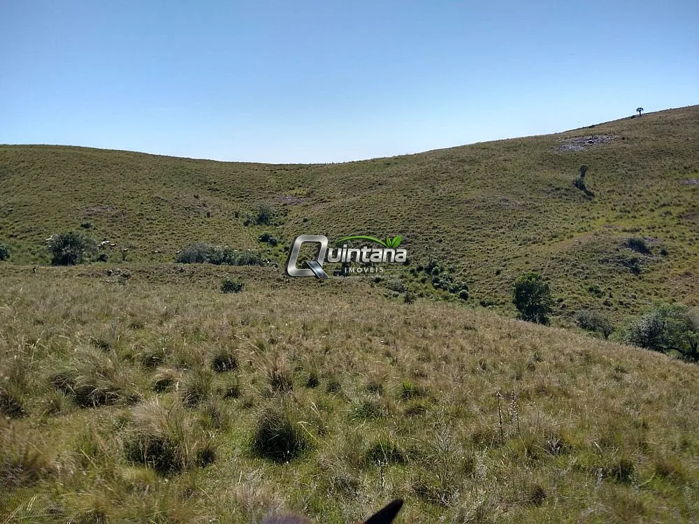 Fazenda, 155 hectares - Foto 10