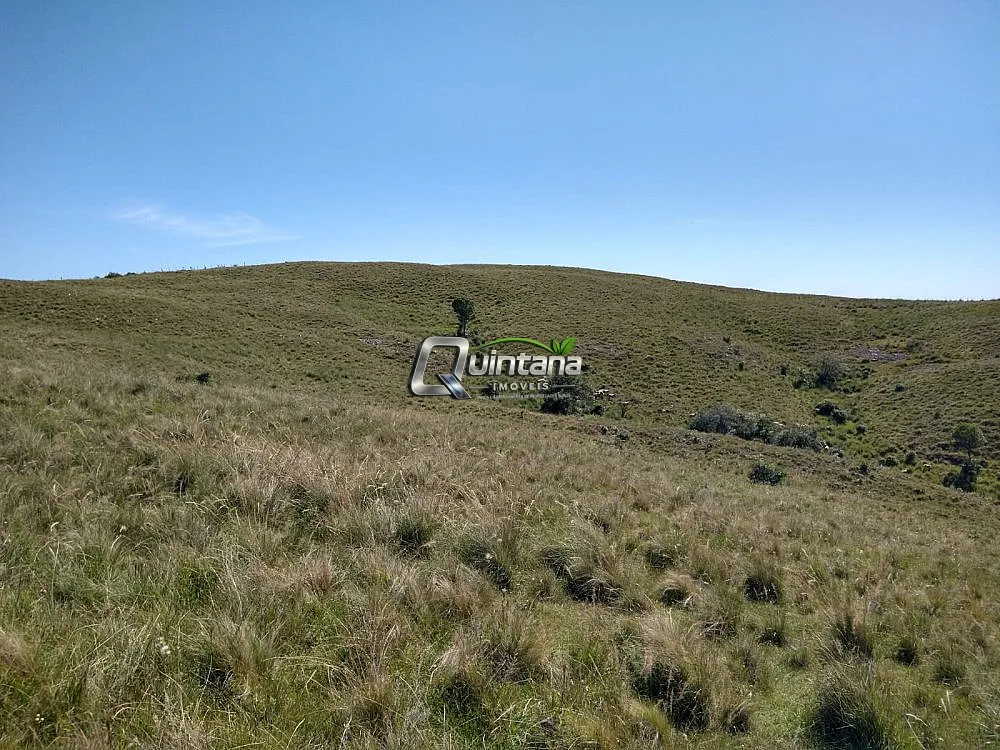 Fazenda, 155 hectares - Foto 11