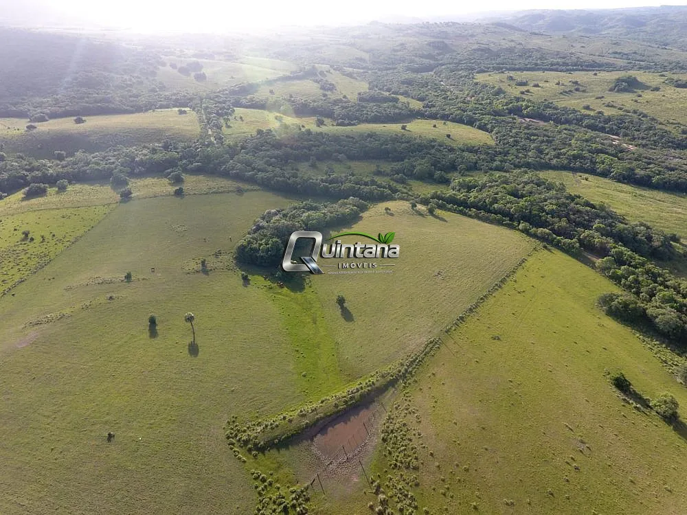 Fazenda, 155 hectares - Foto 6