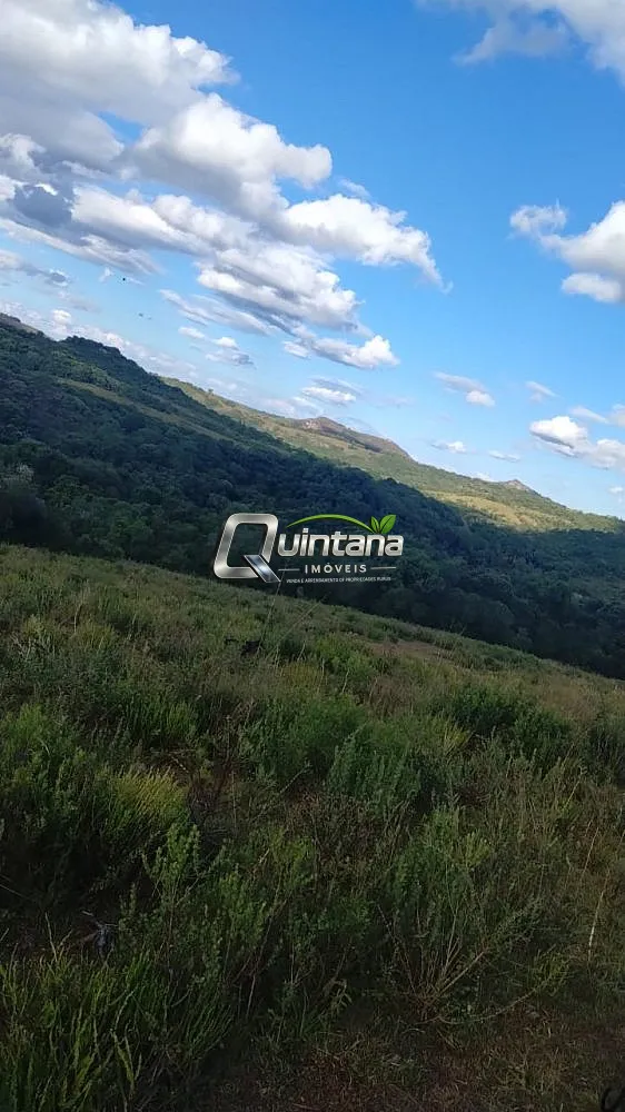 Fazenda, 525 hectares - Foto 4