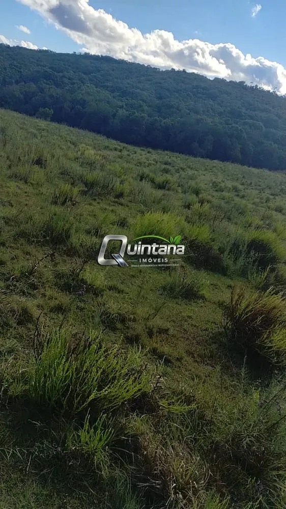 Fazenda, 525 hectares - Foto 3
