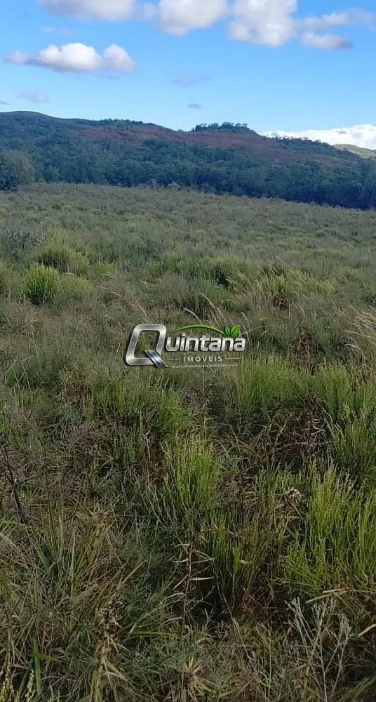 Fazenda, 525 hectares - Foto 2