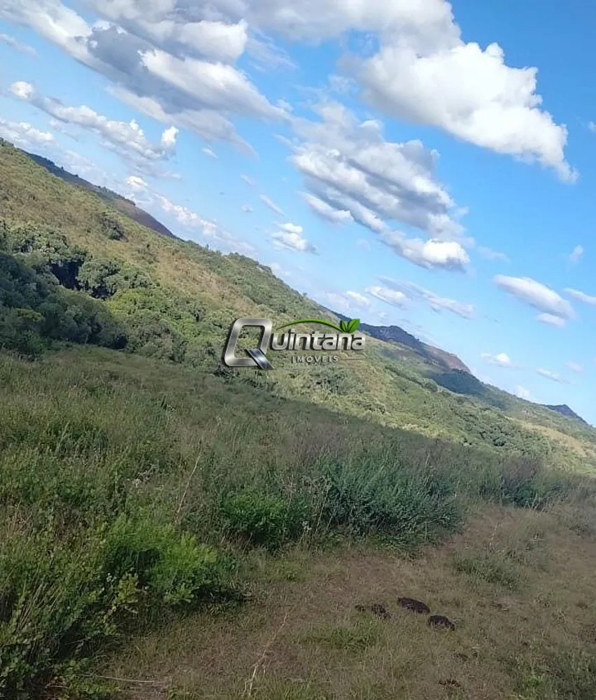 Fazenda, 525 hectares - Foto 1