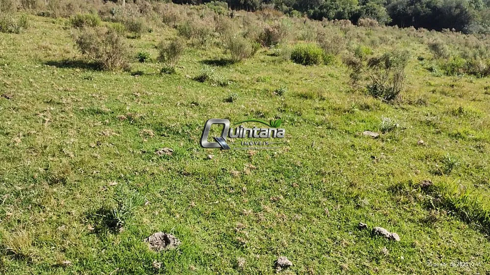 Fazenda, 450 hectares - Foto 1
