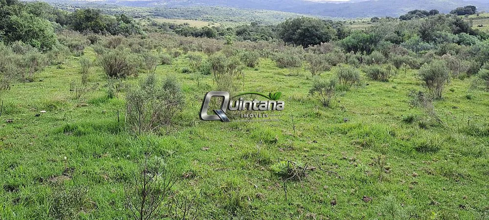 Sítio, 42 hectares - Foto 3
