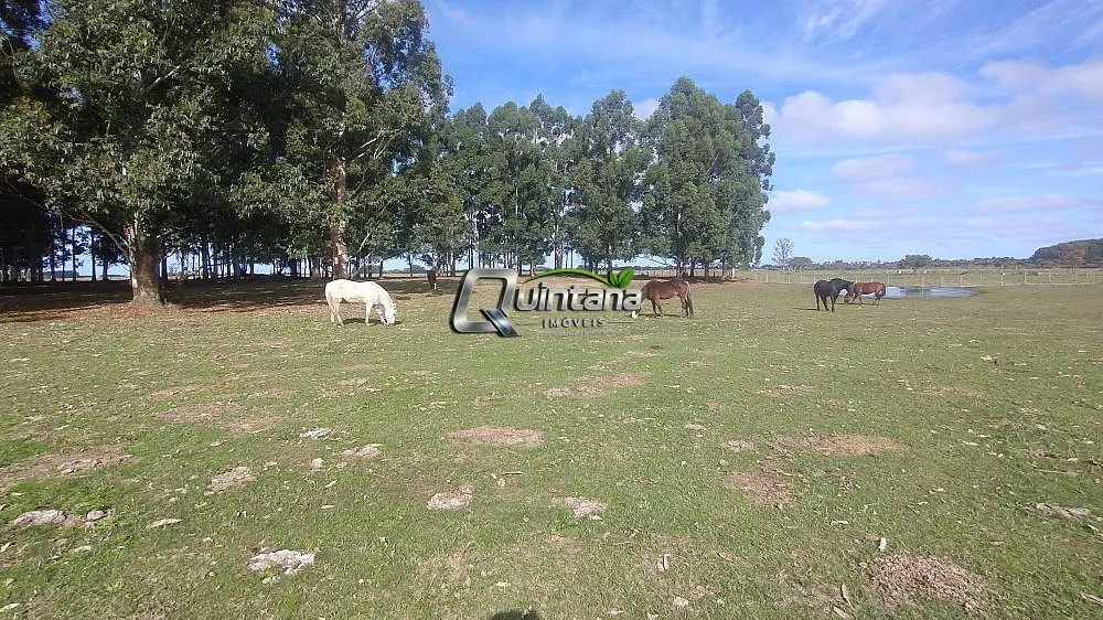Sítio, 2 quartos, 47 hectares - Foto 6