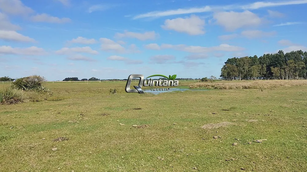 Sítio, 2 quartos, 47 hectares - Foto 11