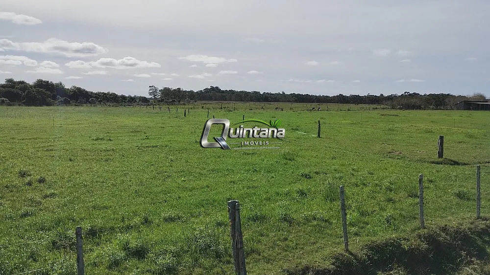Sítio, 2 quartos, 47 hectares - Foto 1