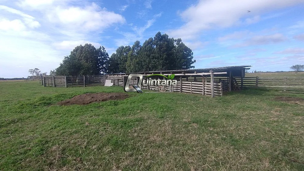 Sítio, 2 quartos, 47 hectares - Foto 13