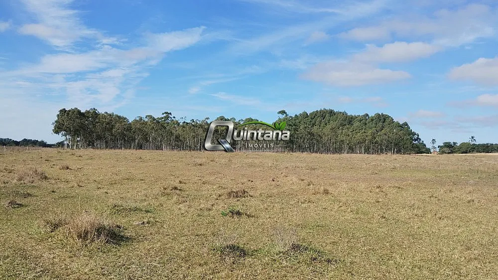 Sítio, 2 quartos, 47 hectares - Foto 10