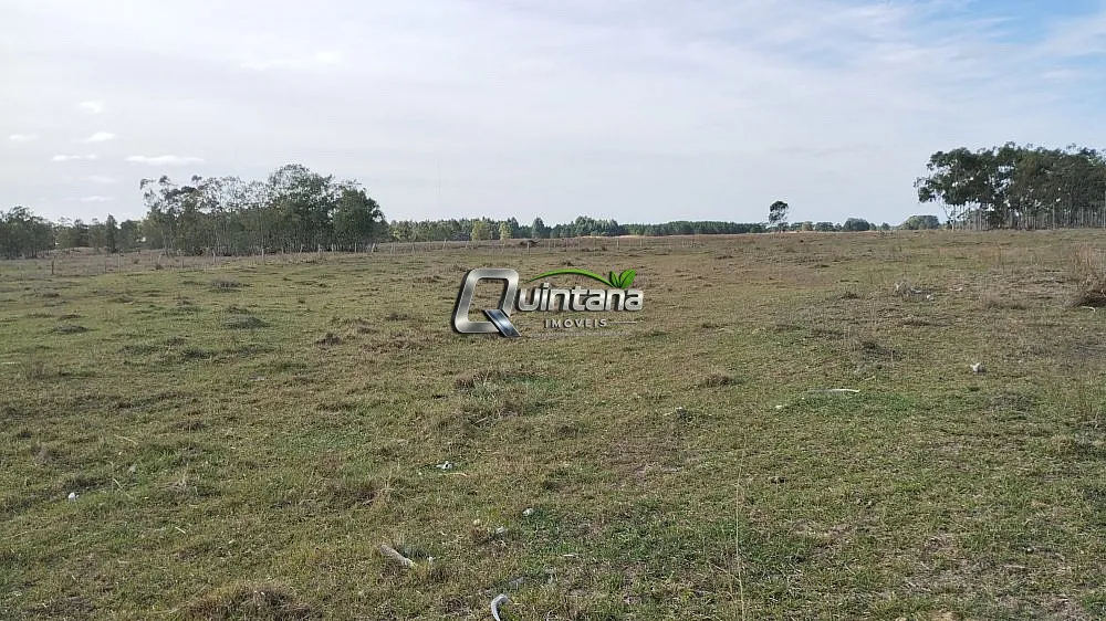 Sítio, 2 quartos, 47 hectares - Foto 8