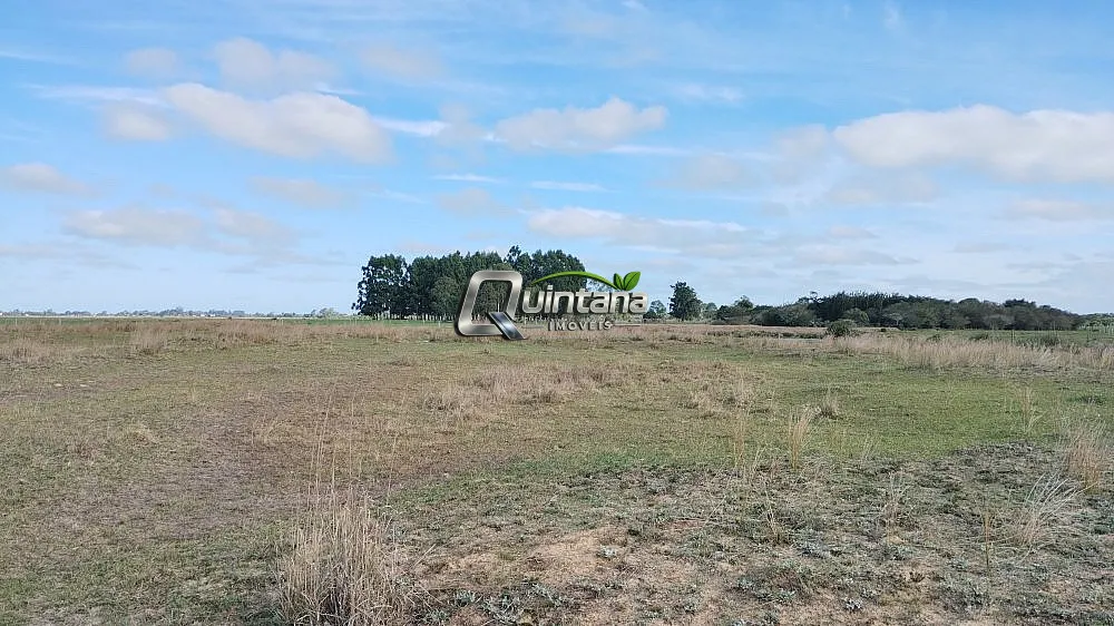 Sítio, 2 quartos, 47 hectares - Foto 7