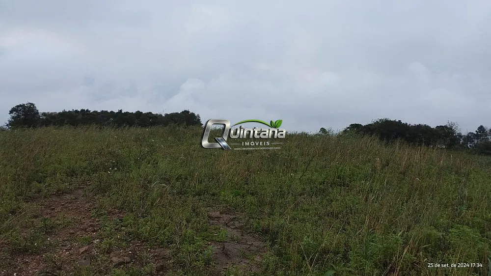 Sítio, 2 quartos, 37 hectares - Foto 3