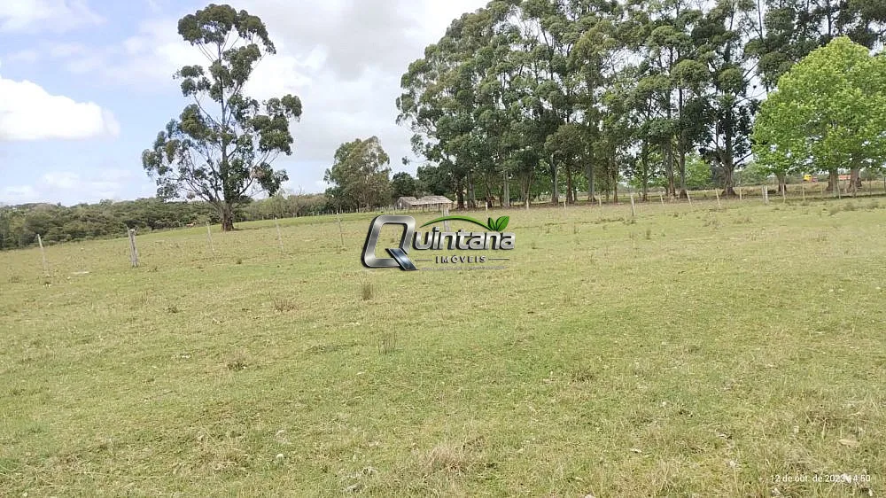 Fazenda, 18 hectares - Foto 6