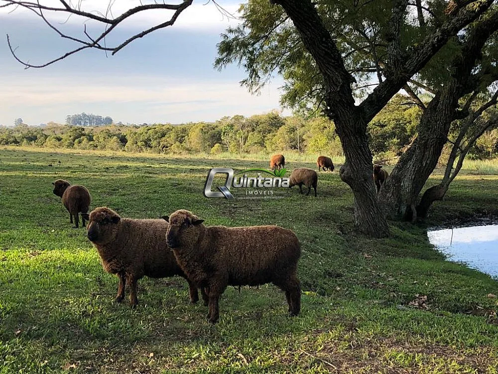 Fazenda, 18 hectares - Foto 2