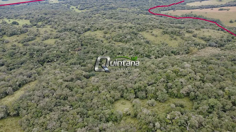 Fazenda, 240 hectares - Foto 6
