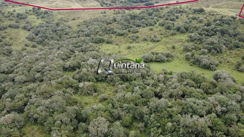 Fazenda, 240 hectares - Foto 9