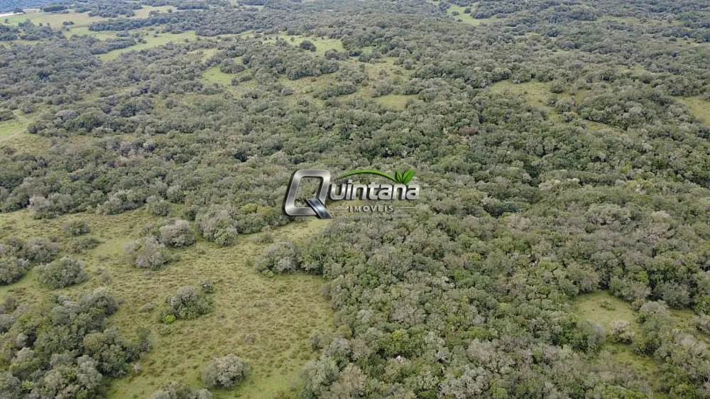 Fazenda, 240 hectares - Foto 10