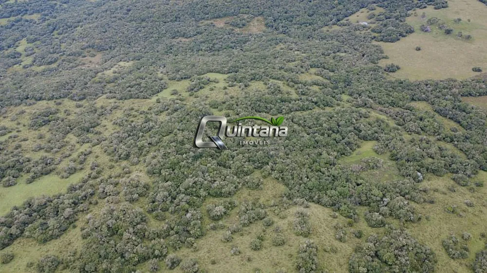 Fazenda, 240 hectares - Foto 12