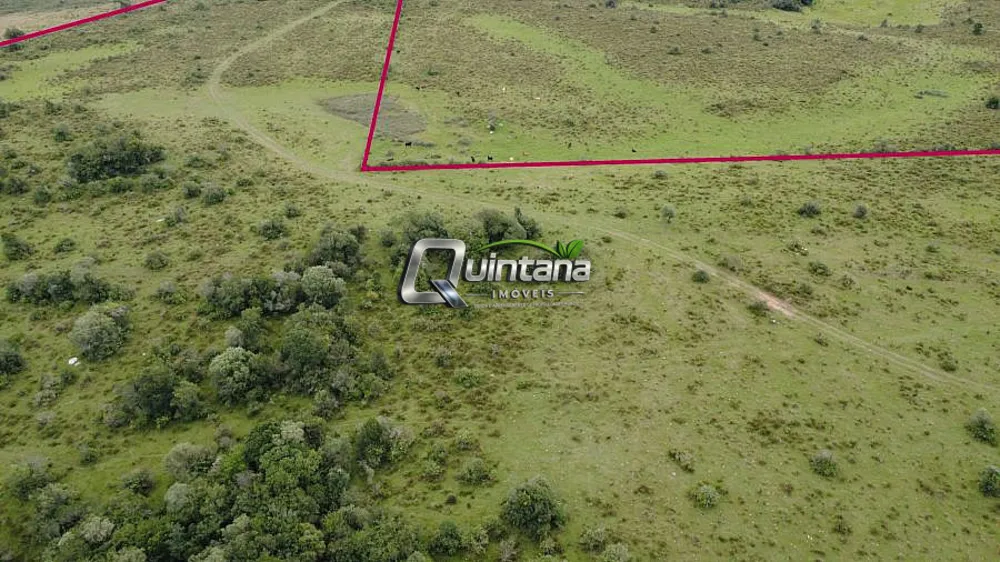 Fazenda, 240 hectares - Foto 7