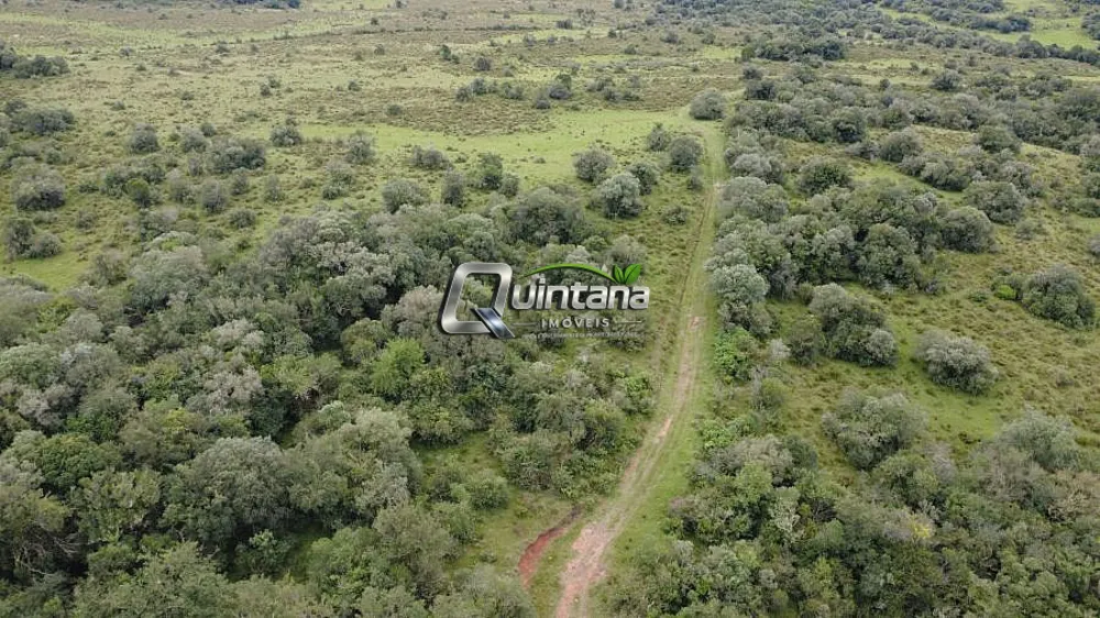 Fazenda, 240 hectares - Foto 3
