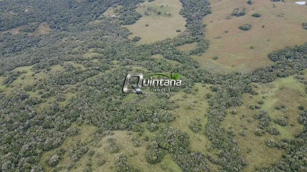 Fazenda, 240 hectares - Foto 11