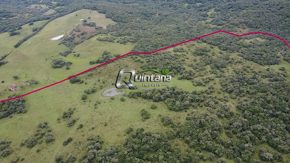Fazenda, 240 hectares - Foto 13