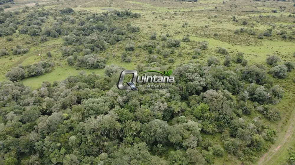 Fazenda, 240 hectares - Foto 4